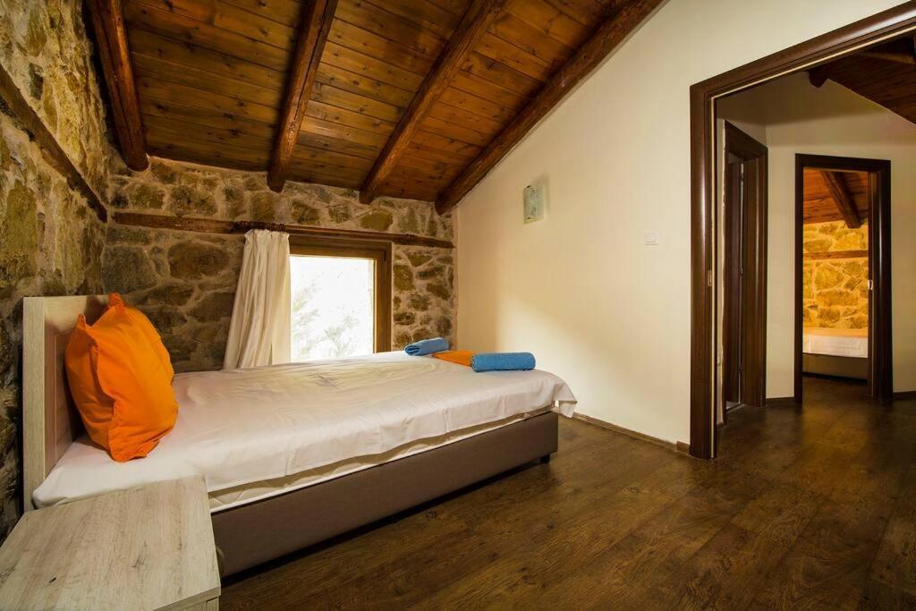 Petrini Spiti Villa Pirgadíkia Kültér fotó
