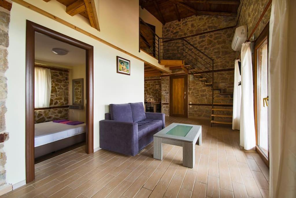 Petrini Spiti Villa Pirgadíkia Kültér fotó